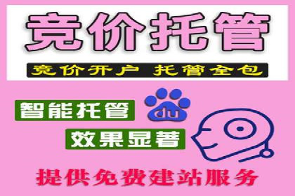 百度SEM推广策略：成功案例解析